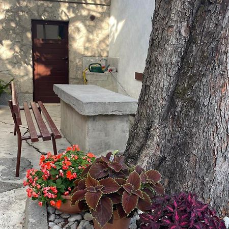 Apartment Marina Rijeka Dış mekan fotoğraf