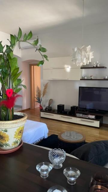 Apartment Marina Rijeka Dış mekan fotoğraf