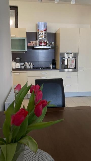 Apartment Marina Rijeka Dış mekan fotoğraf