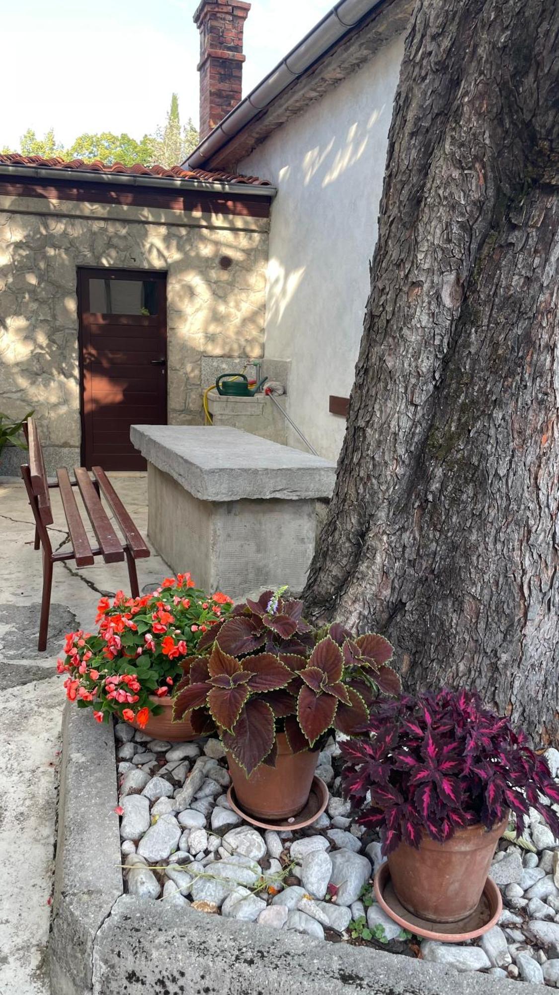 Apartment Marina Rijeka Dış mekan fotoğraf